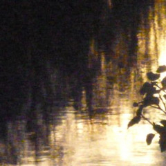 racks (bark + saintracks + chefdvrk)