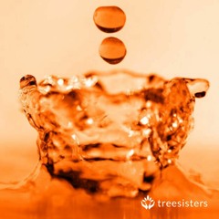 TreeSisters ~ Fluidity by Kathleen Brigidina