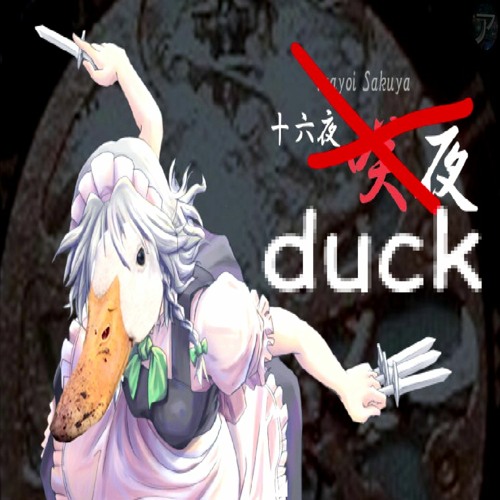 NIGHT OF DUCKS