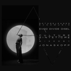 Culture SIntetiche by Evod - Divide - Oisel [LP] Mixed By Jonas Kopp