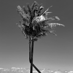 Sweater Weather (ft. Peyton Woods, Peter Anthony)