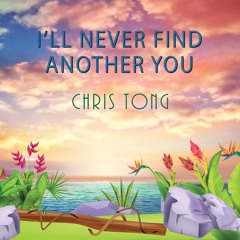 I’ll Never Find Another You