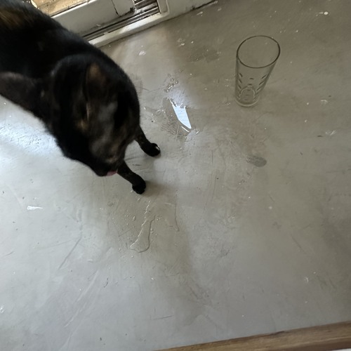 06 claus frushan [need u to rescue me].m4a