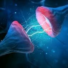 neuromix #1