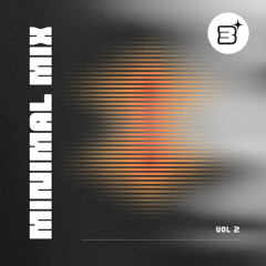 MINIMAL MIX / VOL 02 / SLIPPED DISC SESSIONS / ELLEM3NT
