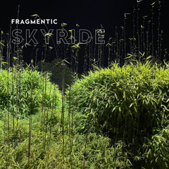 01 - Fragmentic - Walden