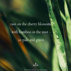 bamboo in the mist [naviarhaiku543]