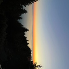 Hallowen . 28/10/2023 . Shelter Cove CA