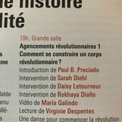 Séminaire Paul B Preciado Vendredi 16 - Rokhaya Diallo
