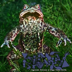 Limp (Not) Least The Lithobates heckscheri Oxbow