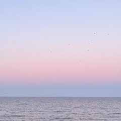 CARL: BEAT CINQUENTE (Mousse au cholocate mix)