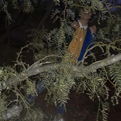 unholy matrimony ft Lord Vonan