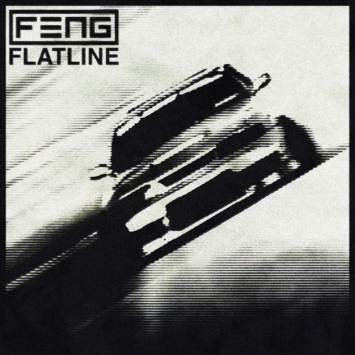 Artwork for the song F3NG - Flatline by F3NG on Next Sound