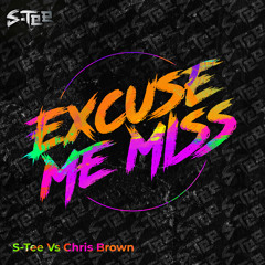 S-Tee Vs Chris Brown [Excuse Me Miss]