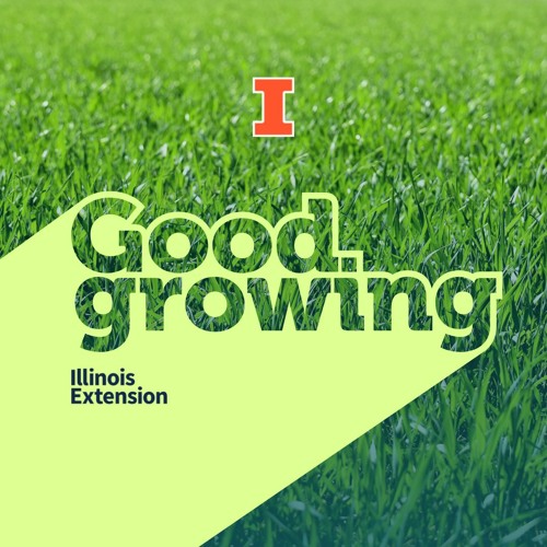 Stream Ep. 80 Fall lawn care tasks and tips with Richard Hentschel #
