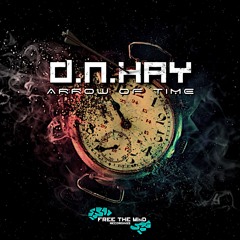 D.N.HAY - Arrow Of Time (Preview)