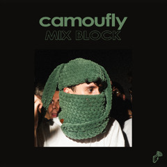 MIXBLOCK : camoufly
