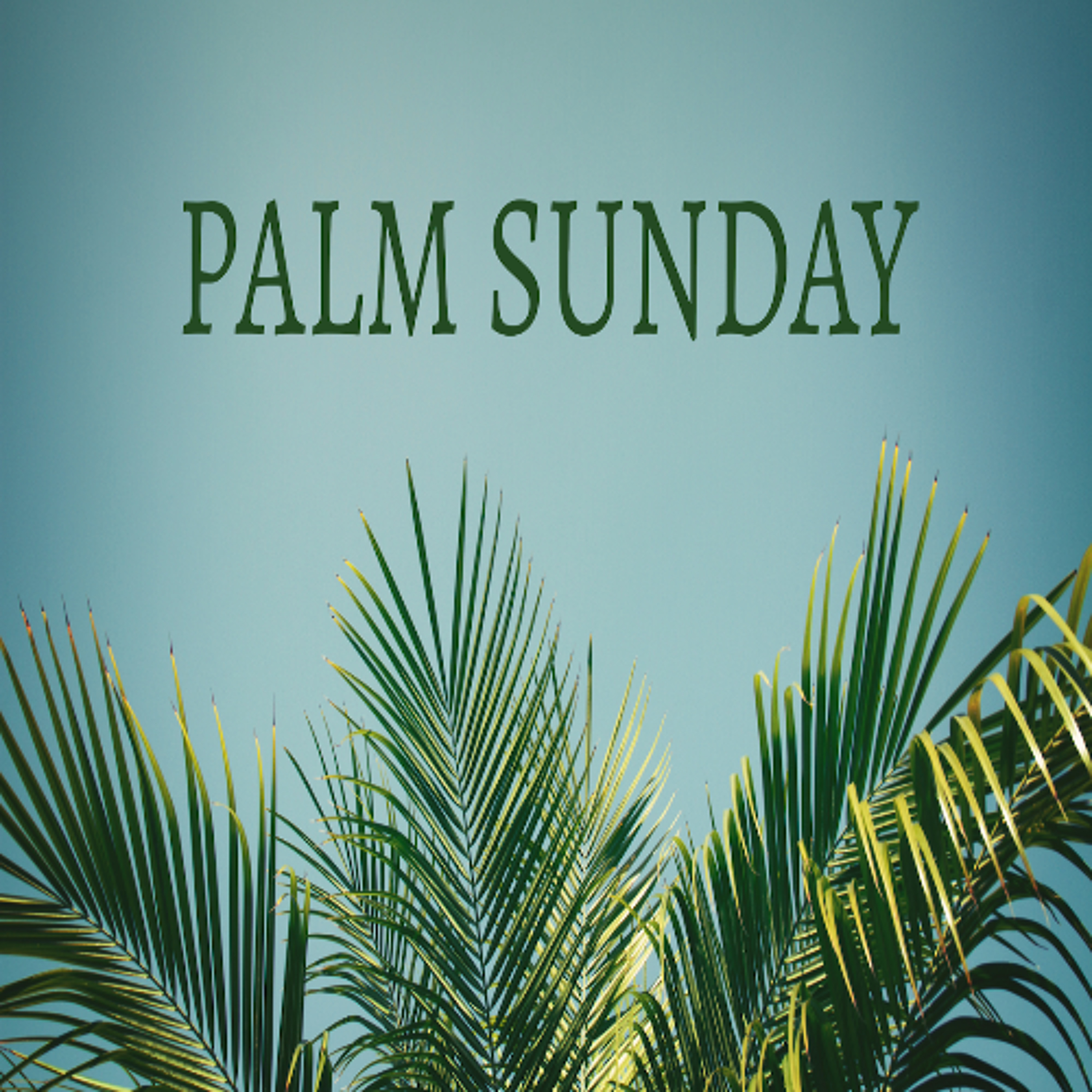 April 13, 2025 Palm Sunday | Do You Hear These Children | Matthew 21:1-17 episode artwork