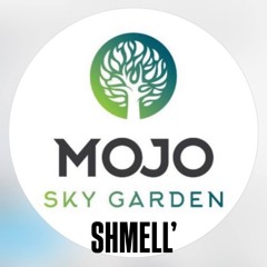 SHMELL' - Mojo Sky Garden ( Live Mix 21.06.2024)