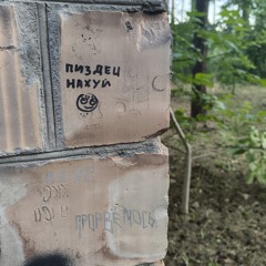 корнишоншансон