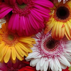 Gone Get Better Dee Jazz+ Sean Blvck <333