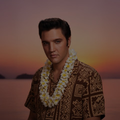 Can't Help Falling in Love (Island Reggae Rendition)