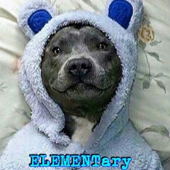 Girl With The Frames