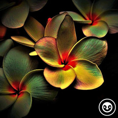 Jerpa @ Deep Stories, #216: Treatment for the soul