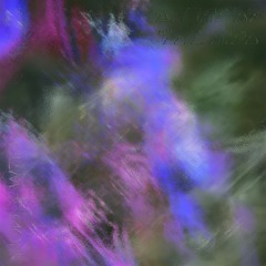 Blown by the Wind : Vocal Pack Preview