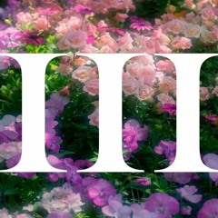 • • • 500 ♥