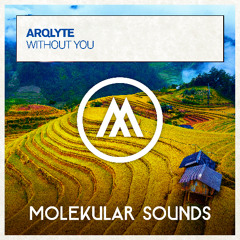ARQLYTE - Without You
