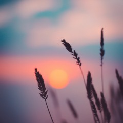 A Sicilian Fantasy