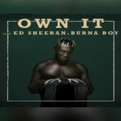Stormzy - Own It Ft. (Ed Sheeran & Burna Boy) (ARG Remix)