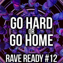 🔥 Techno Mix 2025 | Rave Ready 12: Go Hard or Go Home | Acid Techno & Feel-Good Techno Vibes