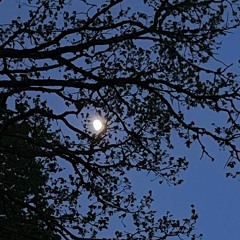 Blue Moon (with Alphabet Shadow)