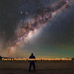 Perfectly Imperfect Unrepeatable Miracle in the Universe