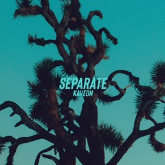 separate. (prod. BRIDGEZ)