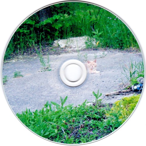 nordr2 wasp [moogle's mix]