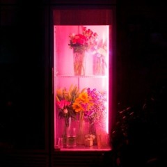 그대의 꿈결 (ft. 김사월)