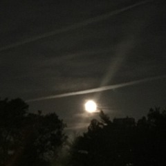 The Night Sky - Lyrics by TC Elliott - for FAWM 5090 Summer 2022