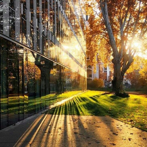 AVM | 176 - Around The Lake Radio With Any van Mous "Spring 2021"