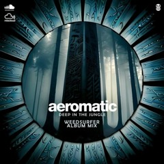 Aeromatic - Order Of Structure ( Original Mix )