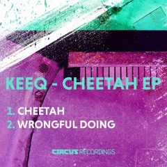 KeeQ - Cheetah