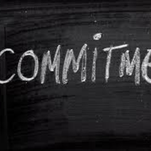 20.05.2025 commitment 1