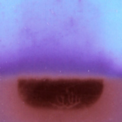 No Ground To Fall On