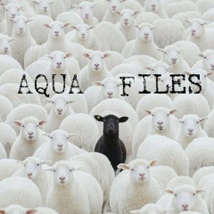 OVA TRAUMA BONDIN’ (Vocals)