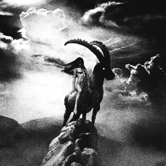 THE WITCH [Mentalcore|Analog Drive]