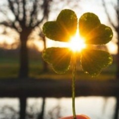 Job y los dos árboles.Mexico/España