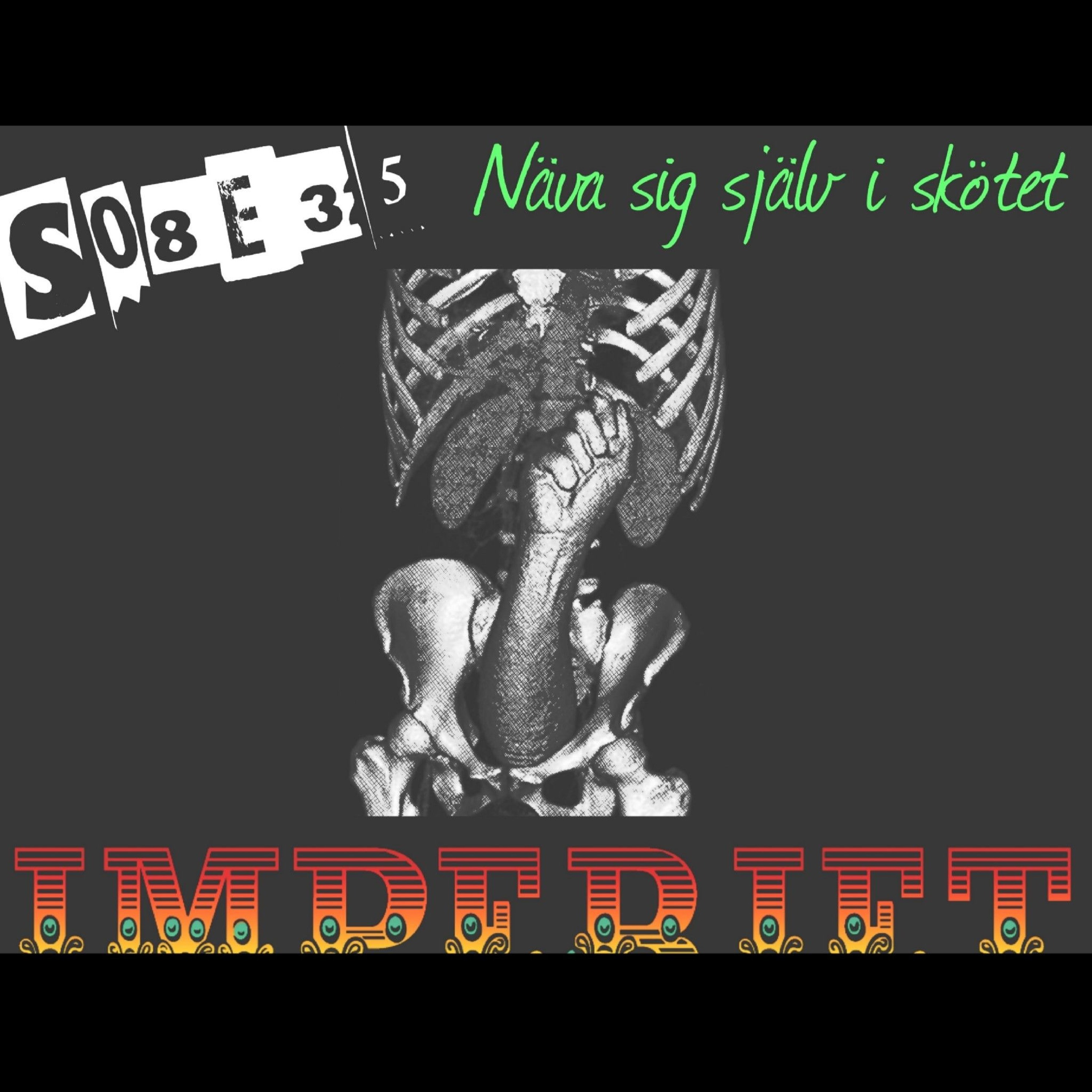 S08E35. Näva sig själv i skötet episode artwork