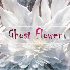 Ghost Flower